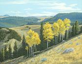 Aspen Shadows by Warren W. Adams