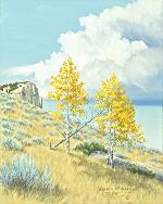 Changing Seasons by Warren W. Adams